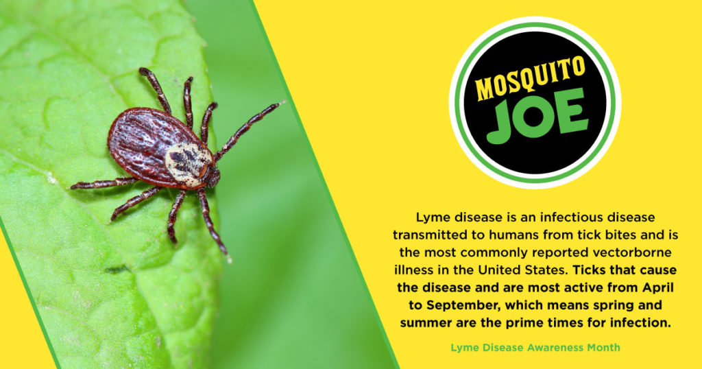Tick Prevention - Mosquito Joe