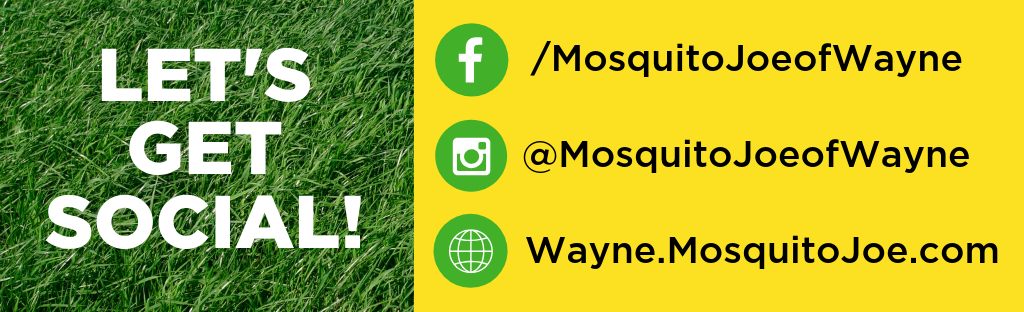 Let's get social! Facebook: /MosquitoJoeofWayne Instagram:@MosquitoJoeofWayne Website: wayne.mosquitojoe.com